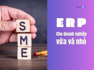 Phần mềm erp cho doanh nghiệp vừa và nhỏ