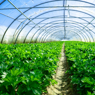 phần mềm erp ngành nông nghiệp